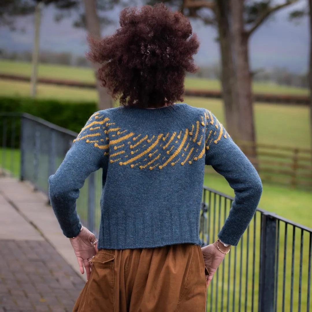 Leonida Sweater Kit