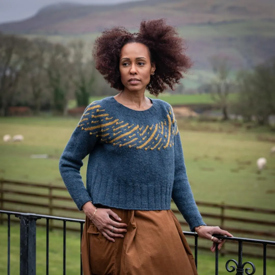 Leonida Sweater Kit