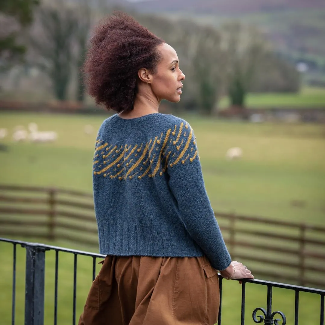 Leonida Sweater Kit