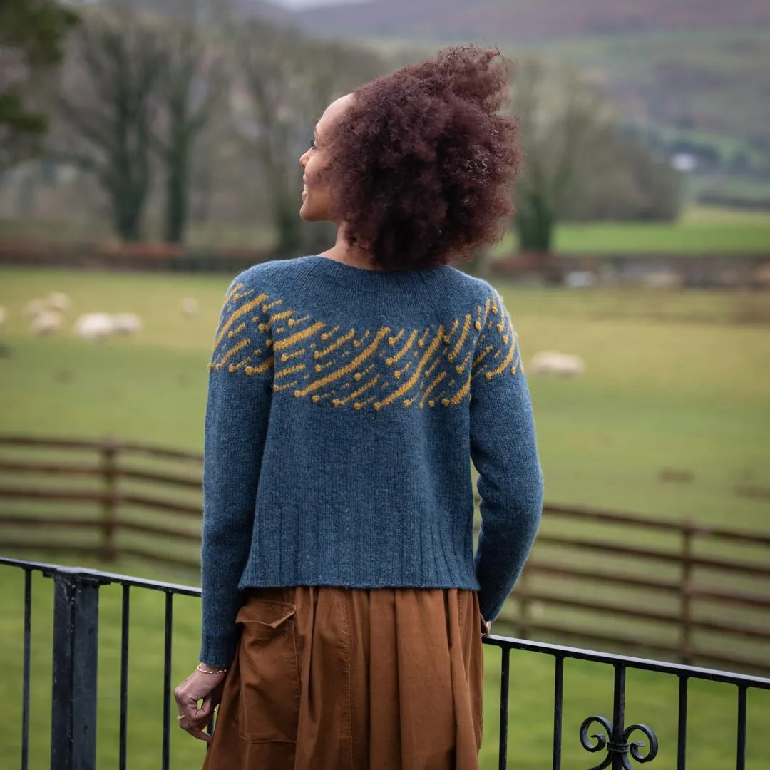 Leonida Sweater Kit