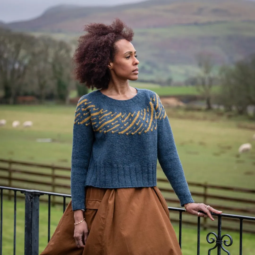 Leonida Sweater Kit