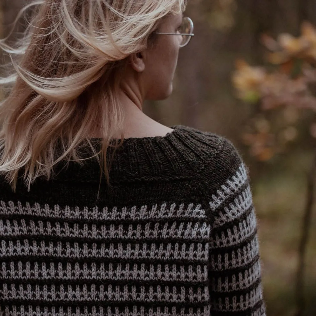 Mushroom Raglan Kit